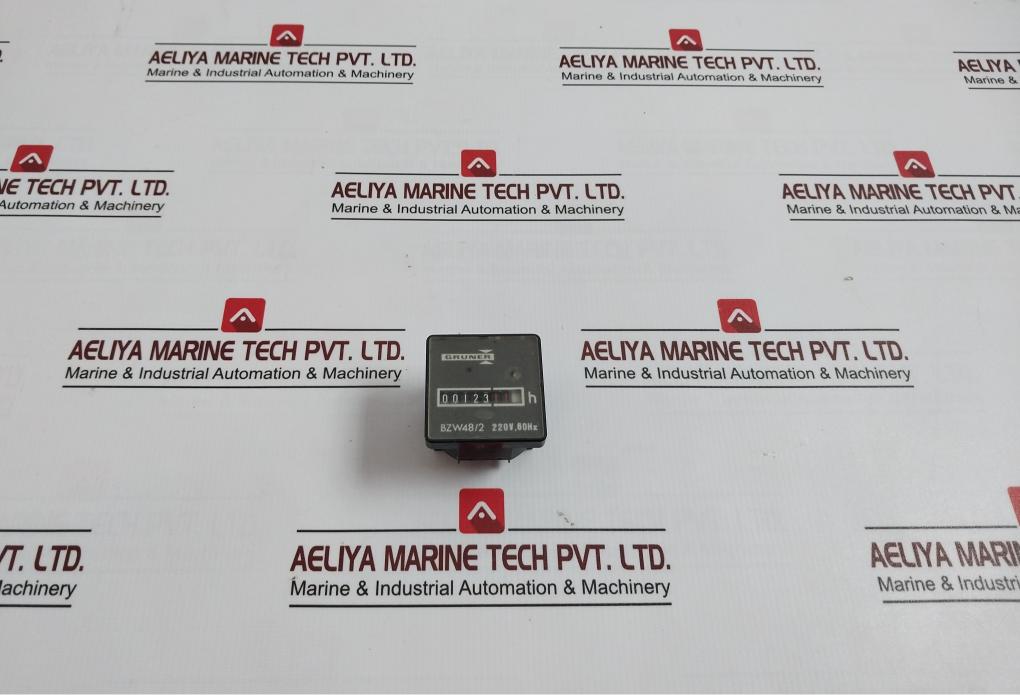 Gruner Bzw48/2 Counter 220V, 60Hz