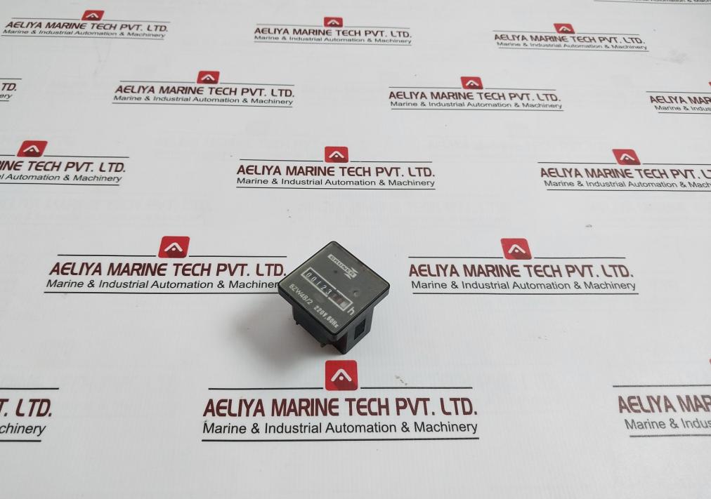 Gruner Bzw48/2 Counter 220V, 60Hz