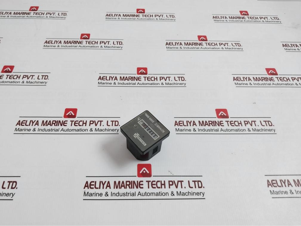 Gruner Bzw48/2 Counter 220V, 60Hz