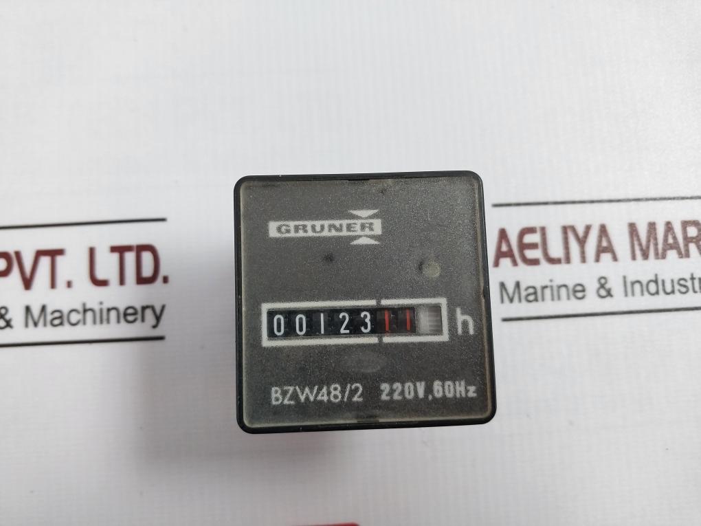 Gruner Bzw48/2 Counter 220V, 60Hz