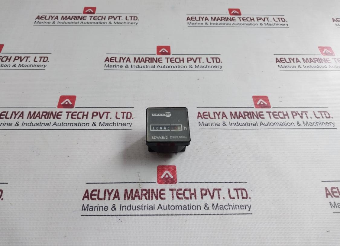 Gruner Bzw48/2 Counter 230V 60Hz