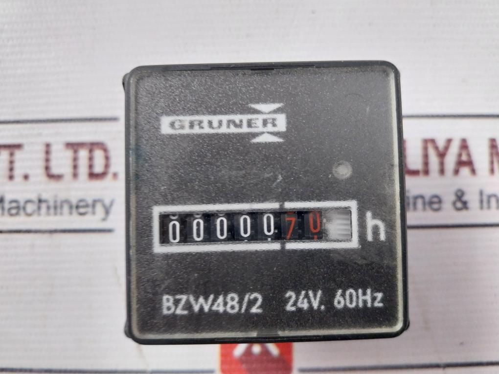 Gruner Bzw48/2 Counter 24V 60Hz