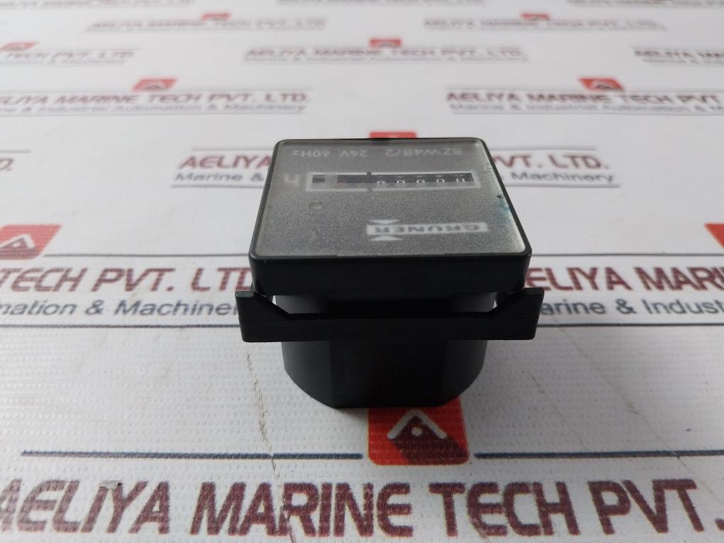 Gruner Bzw48/2 Counter 24V 60Hz