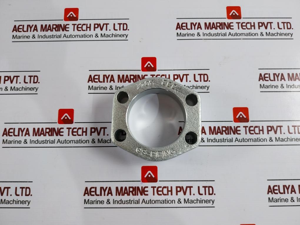 Gs-piping 332 Hydraulic Flange Adaptor 304T