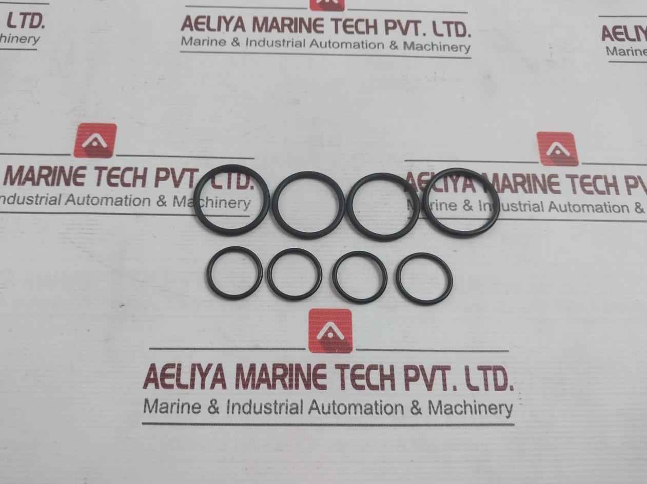 Gumis Gy/379 O-ring Set