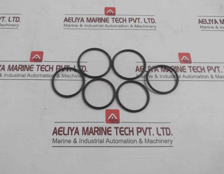 Gumis Gy/379 O-ring Set