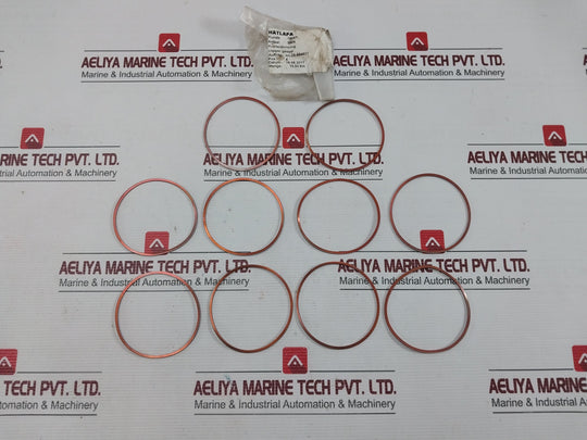 H1-25-594511 New Sealing Ring Brand Hatlapa