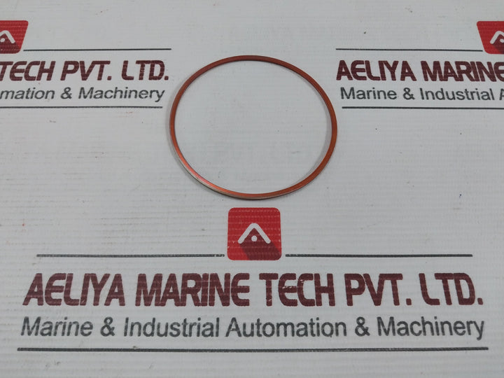H1-25-594511 New Sealing Ring Brand Hatlapa
