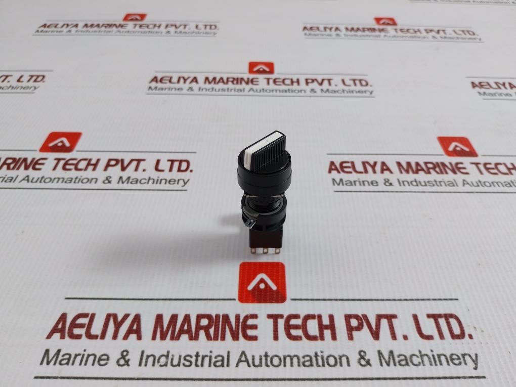 Ha1S-2C5 Idec Type Selector Switch 250V