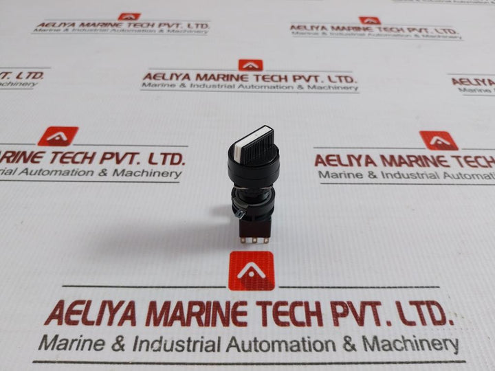 Ha1S-2C5 Idec Type Selector Switch 250V
