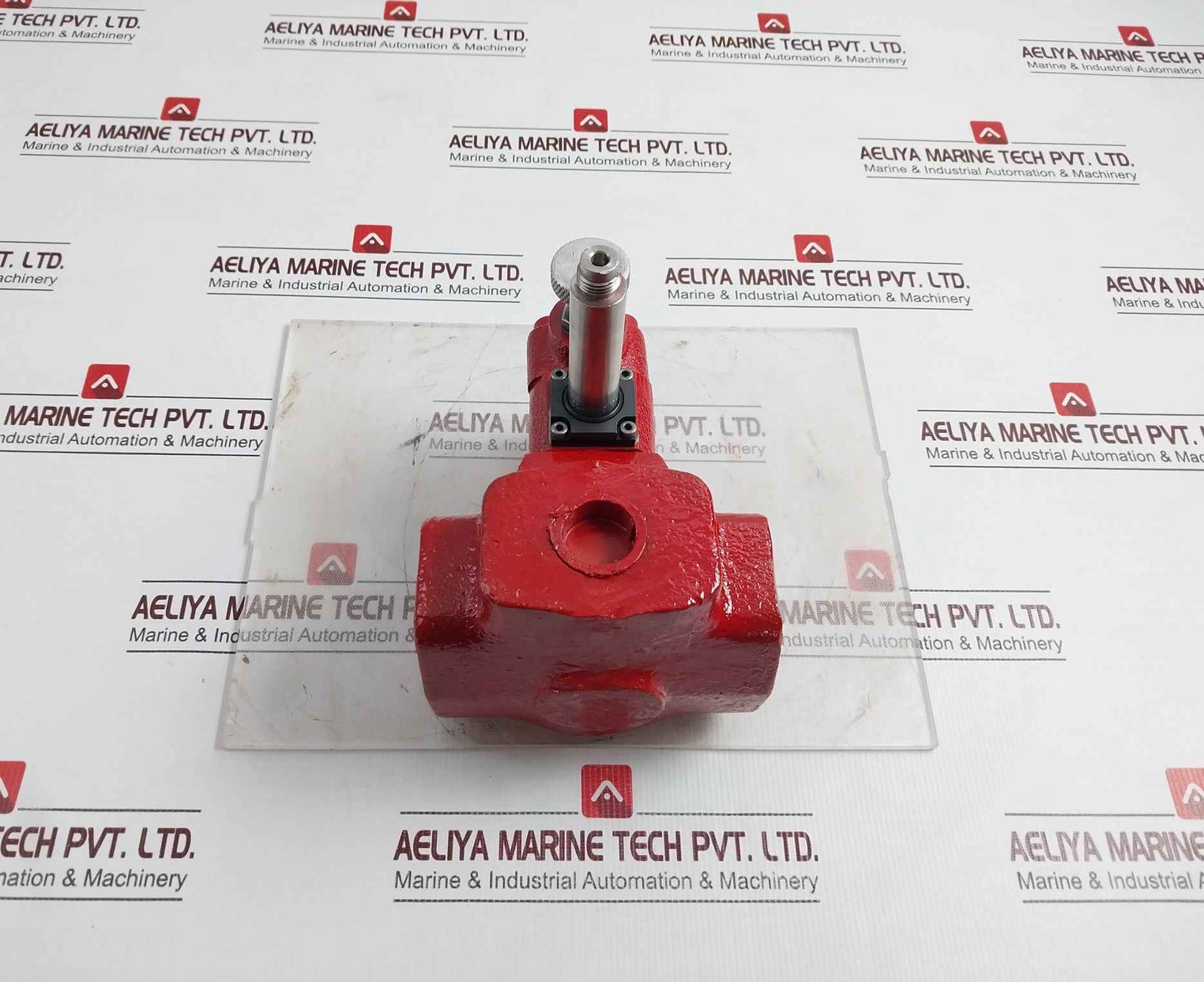 Hagglunds Denison R4V06 313 10