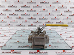 Haitima Gs Hydro Dn65 Pn63 Max. 200°C Industrial Valve