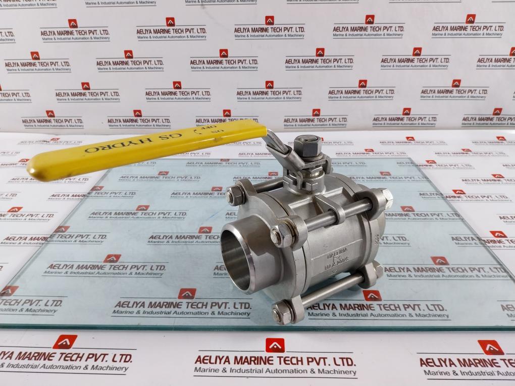 Haitima Gs Hydro Dn65 Pn63 Max. 200°C Industrial Valve