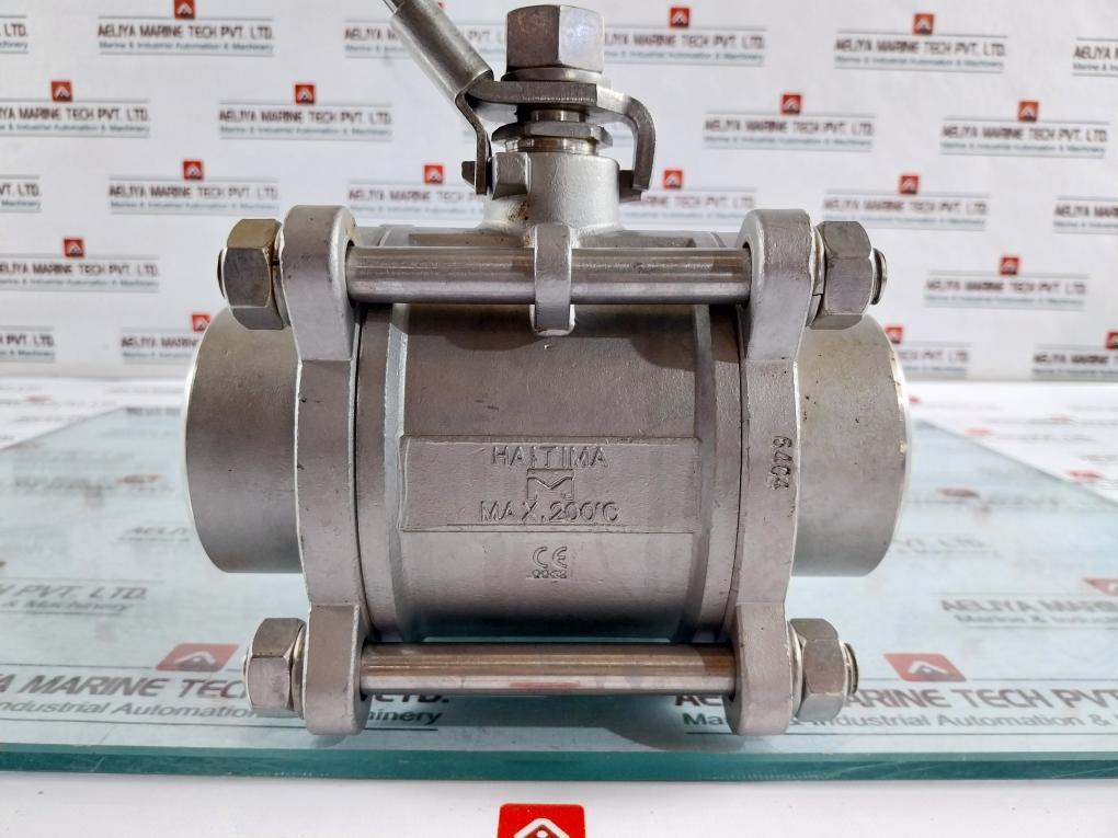 Haitima Gs Hydro Dn65 Pn63 Max. 200°C Industrial Valve