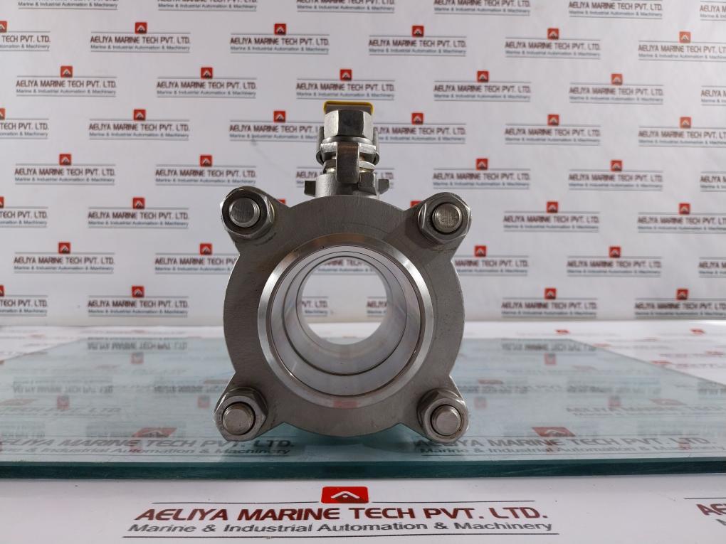 Haitima Gs Hydro Dn65 Pn63 Max. 200°C Industrial Valve