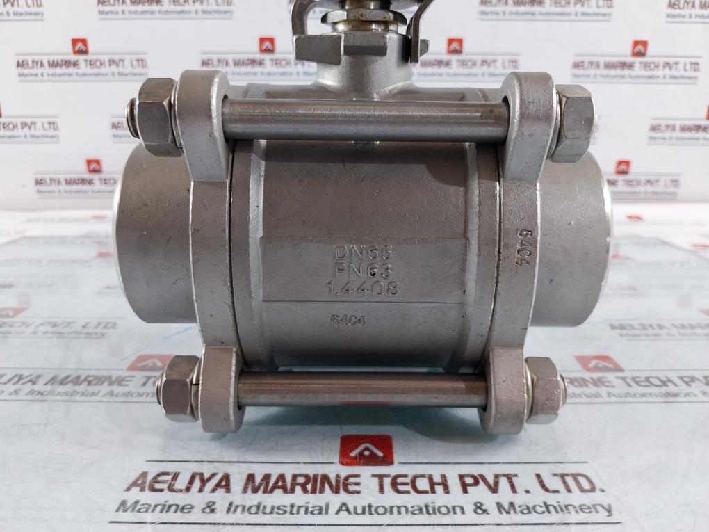 Haitima Gs Hydro Dn65 Pn63 Max. 200°C Industrial Valve