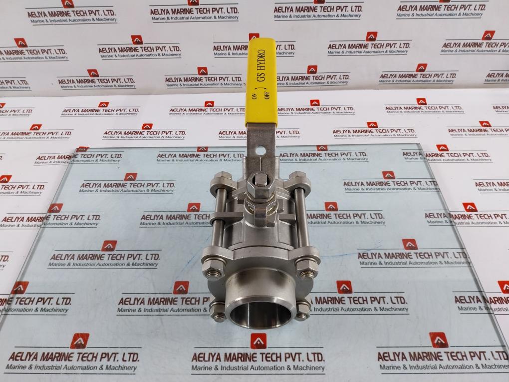 Haitima Gs Hydro Dn65 Pn63 Max. 200°C Industrial Valve