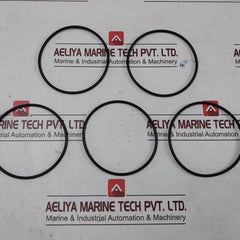 Halliburton 100000968 O-ring-240,30306413