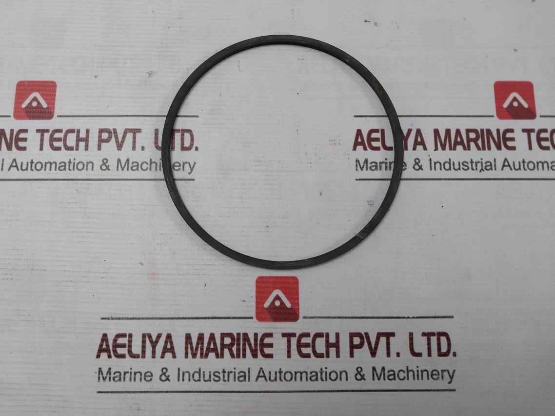 Halliburton 100002829 Anel Bomba Pump Ring