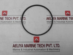 Halliburton 100002829 Anel Bomba Pump Ring