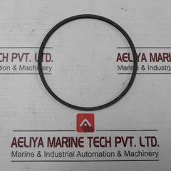 Halliburton 100002829 Anel Bomba Pump Ring