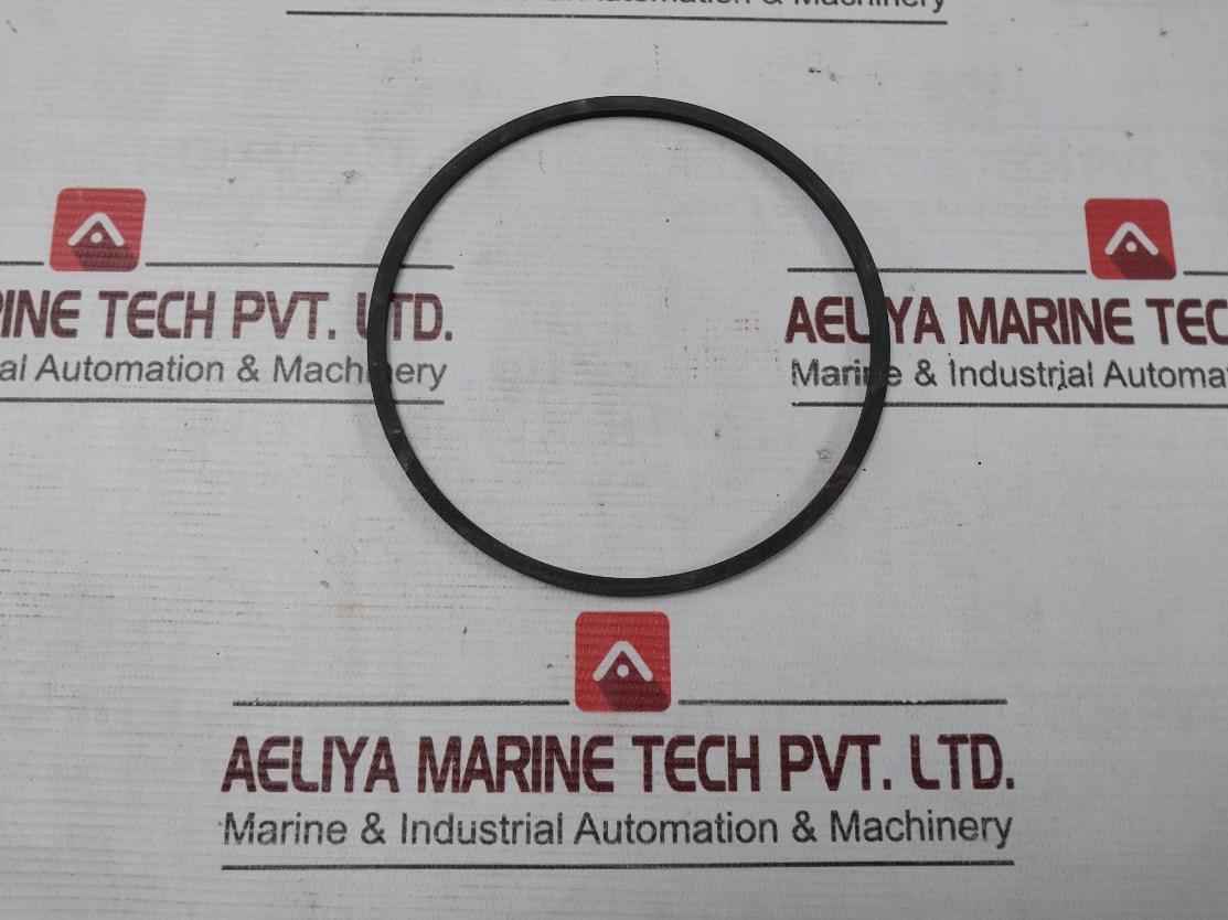 Halliburton 100002829 Anel Bomba Pump Ring