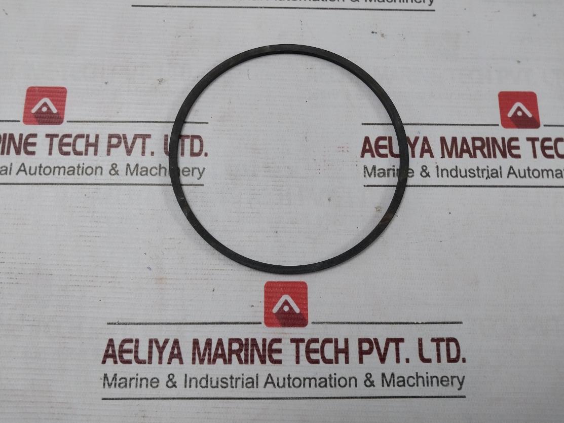 Halliburton 100002829 Anel Bomba Pump Ring