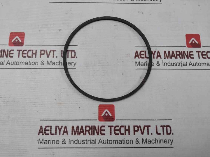 Halliburton 100002829 Anel Bomba Pump Ring