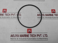 Halliburton 100002829 Anel Bomba Pump Ring