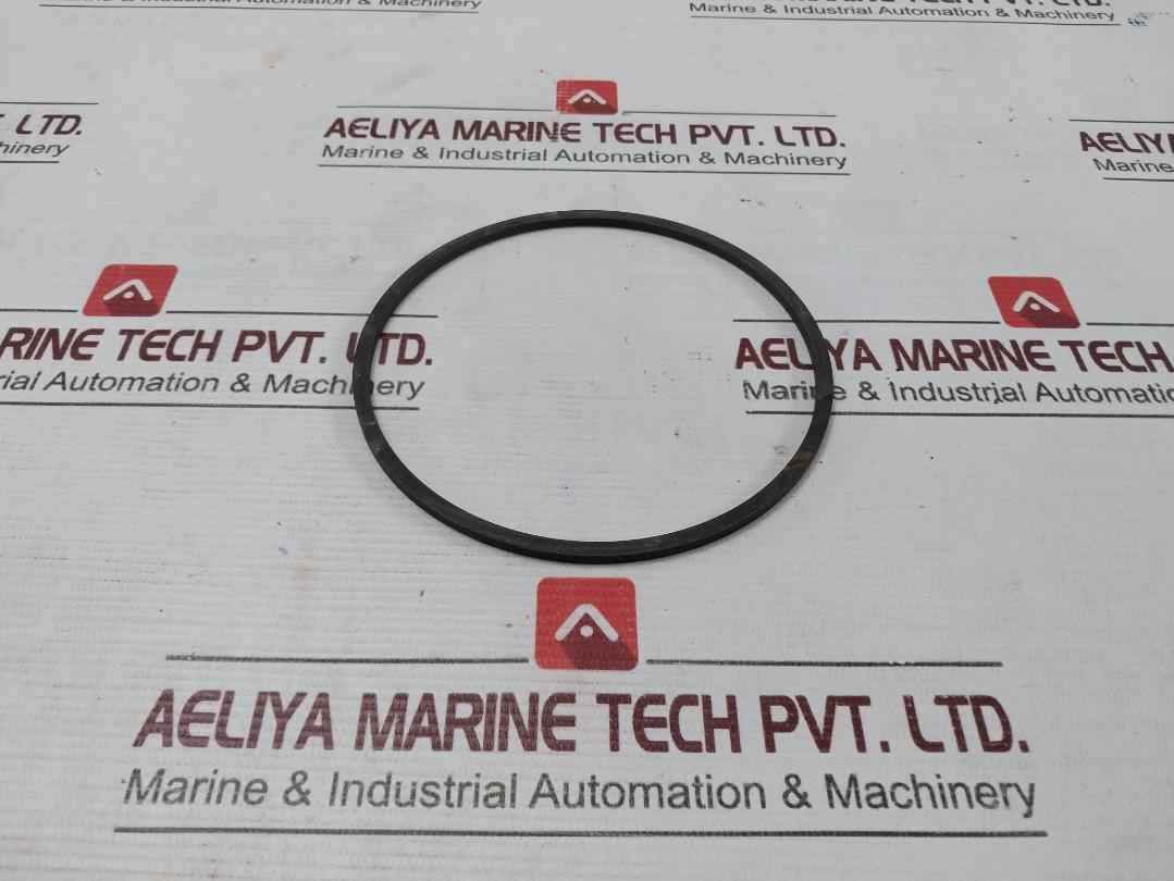 Halliburton 100002829 Anel Bomba Pump Ring