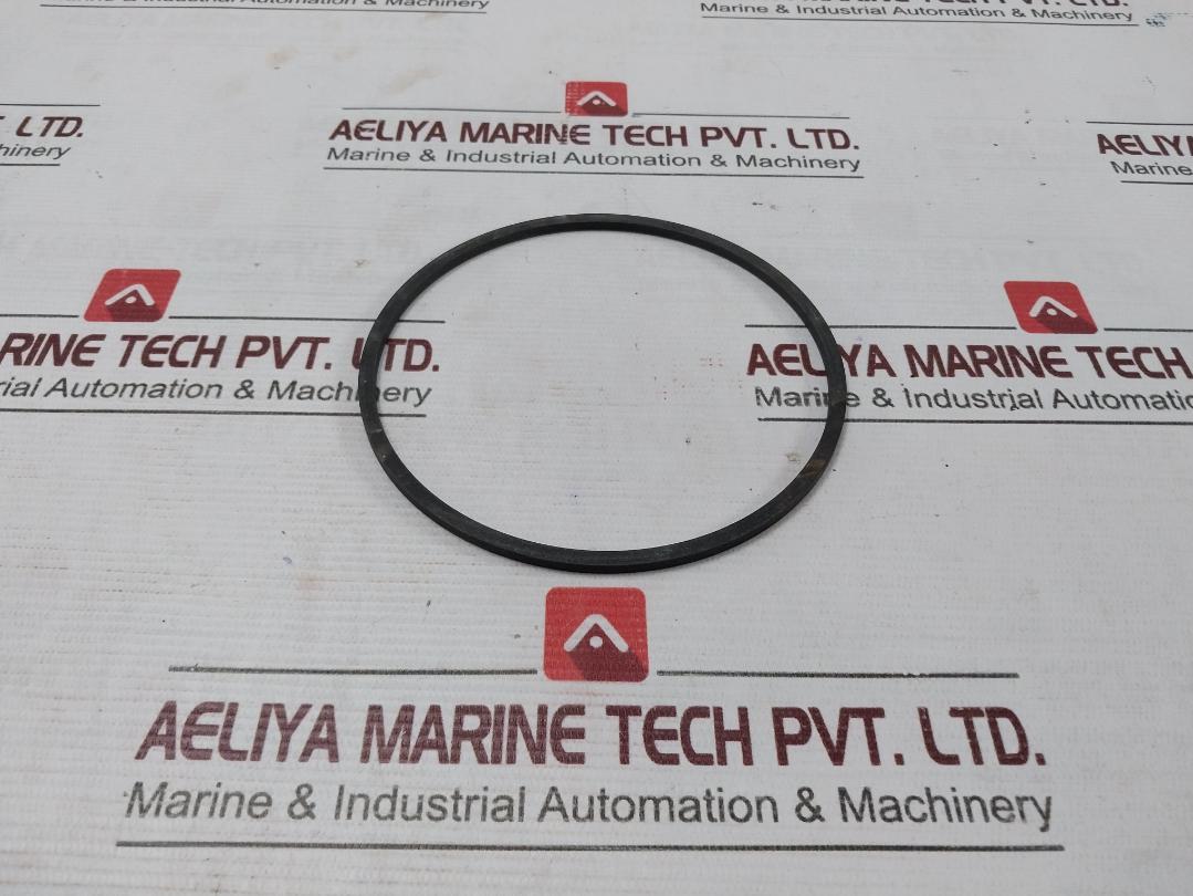 Halliburton 100002829 Anel Bomba Pump Ring