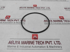 Halliburton 100002829 Anel Bomba Pump Ring
