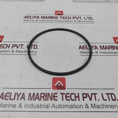 Halliburton 100002829 Anel Bomba Pump Ring