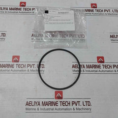 Halliburton 100002829 Anel Bomba Pump Ring