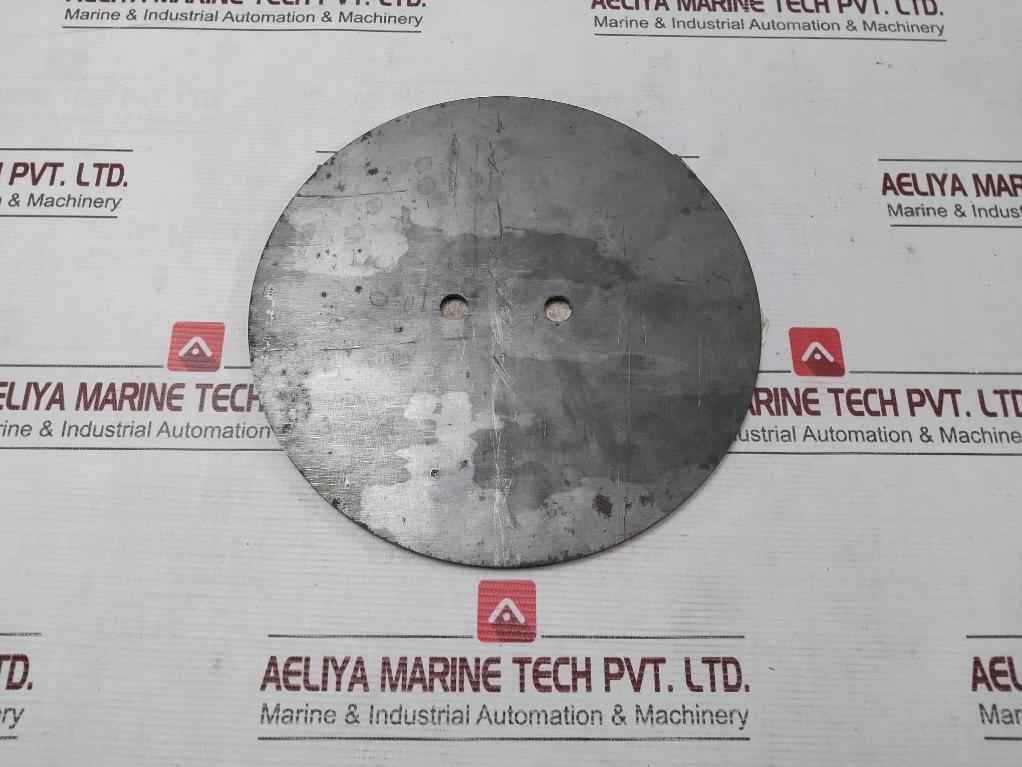 Halliburton 100078934 Pump Plate - Back Pressure Valve 30311083