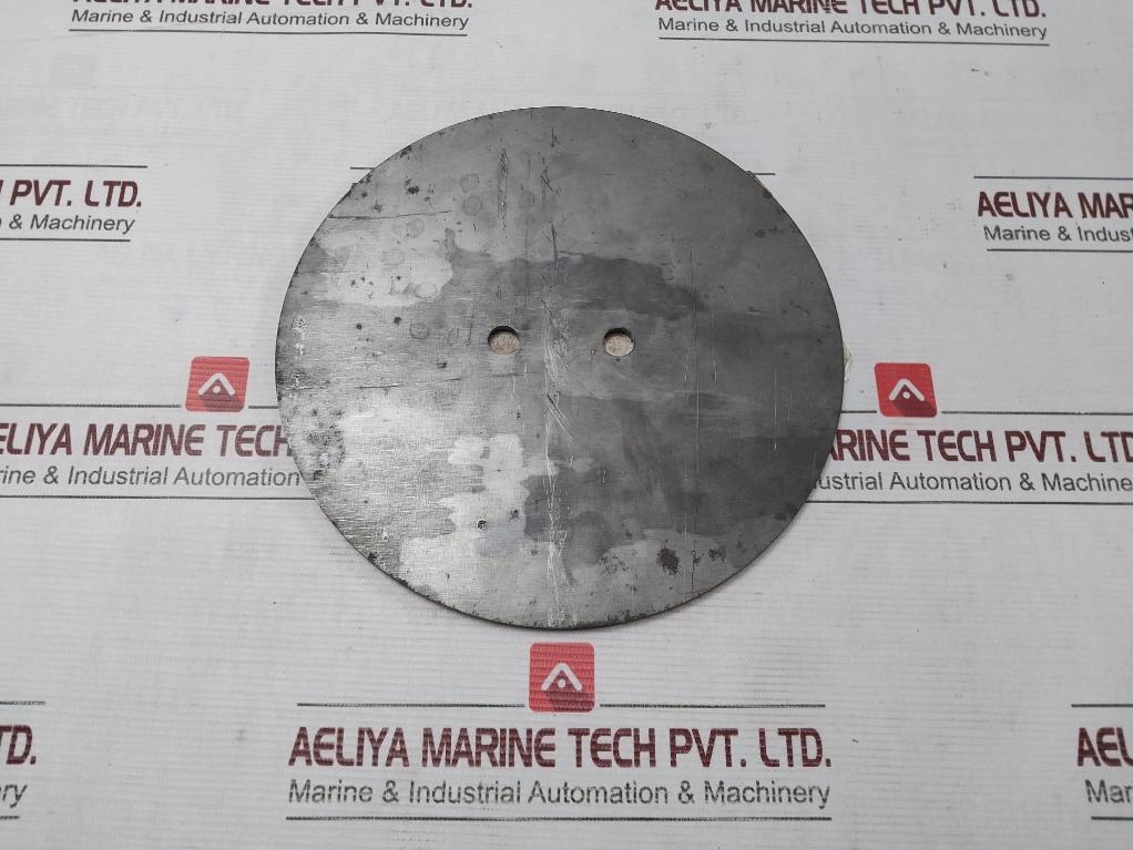 Halliburton 100078934 Pump Plate - Back Pressure Valve 30311083