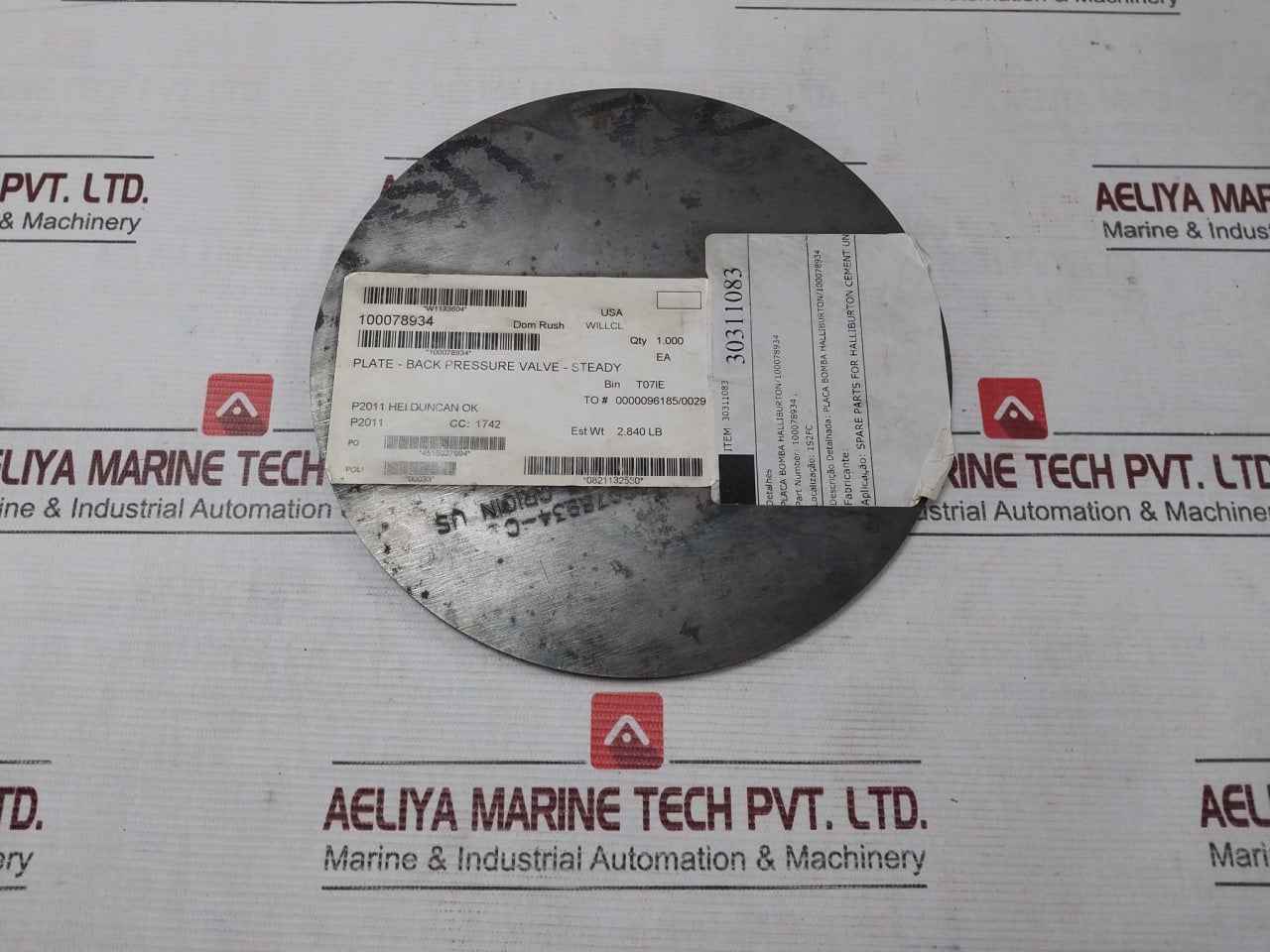 Halliburton 100078934 Pump Plate - Back Pressure Valve 30311083