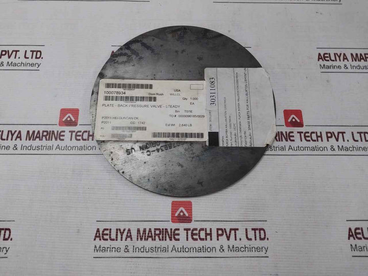 Halliburton 100078934 Pump Plate - Back Pressure Valve 30311083