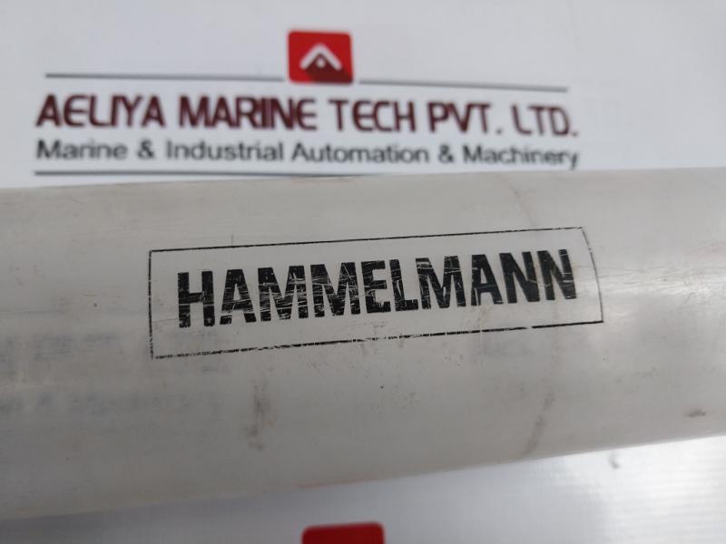 Hammelmann 00.01750.0414 -001-145807-