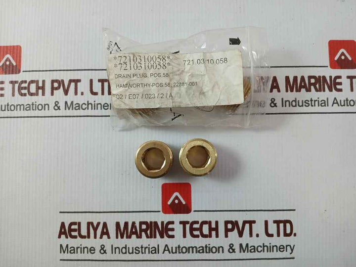 Hamworthy 22881-001 Drain Plug