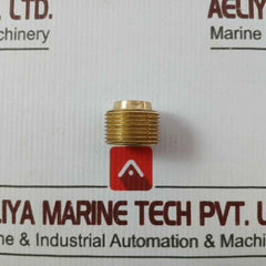 Hamworthy 22881-001 Drain Plug