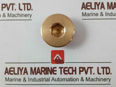 Hamworthy 22921-001 Bearing Plug