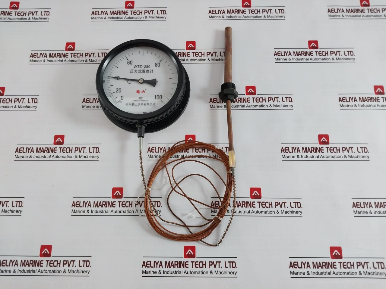 Hangzhou Guanshan Wtz-280 Pressure Indicating Thermometer With Tail 5M 150 Mm