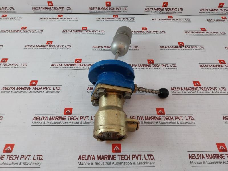 Hanla Fms-2H-t Float Level Switch 10 Bar Ip56