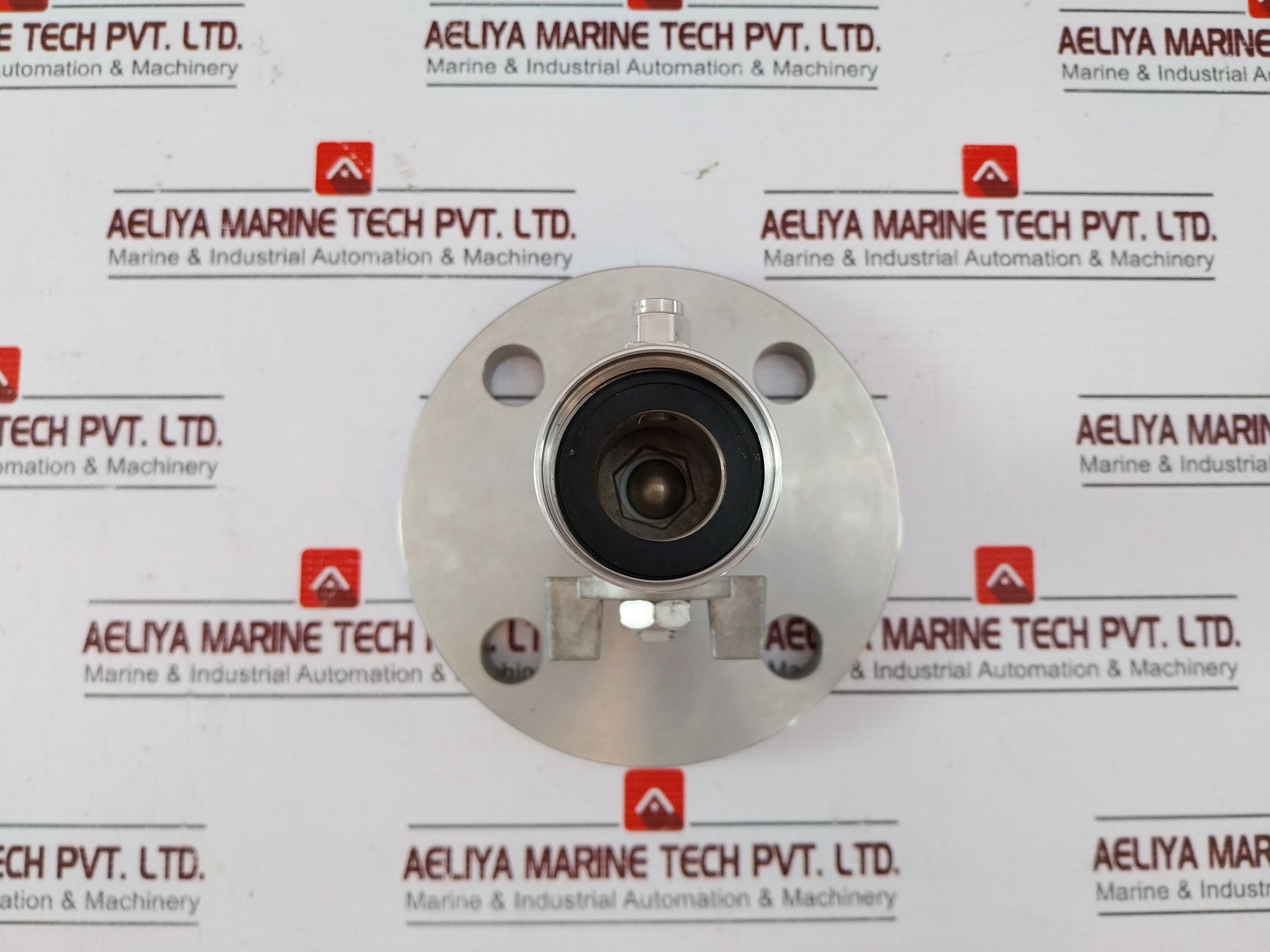 Hanla IMS PL 40 Pressure Level Transmitter Set