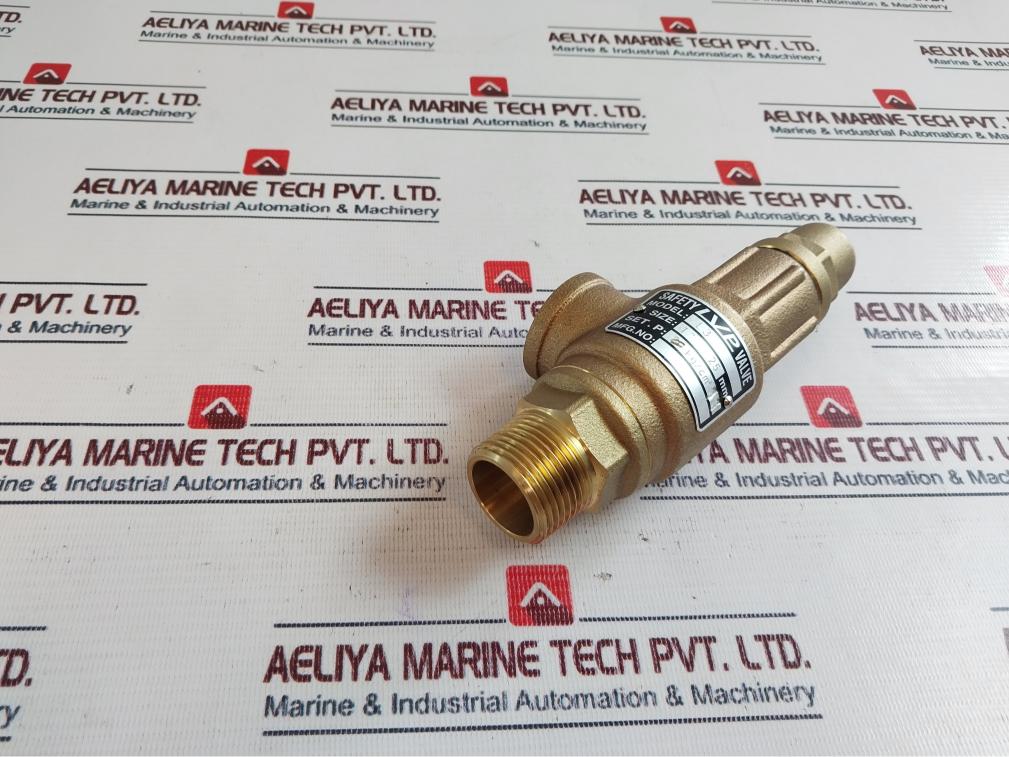 Hants L3 Pressure Safety Relief Valve 1 Inch Npt 11 Bar 20 Kg/Cm2