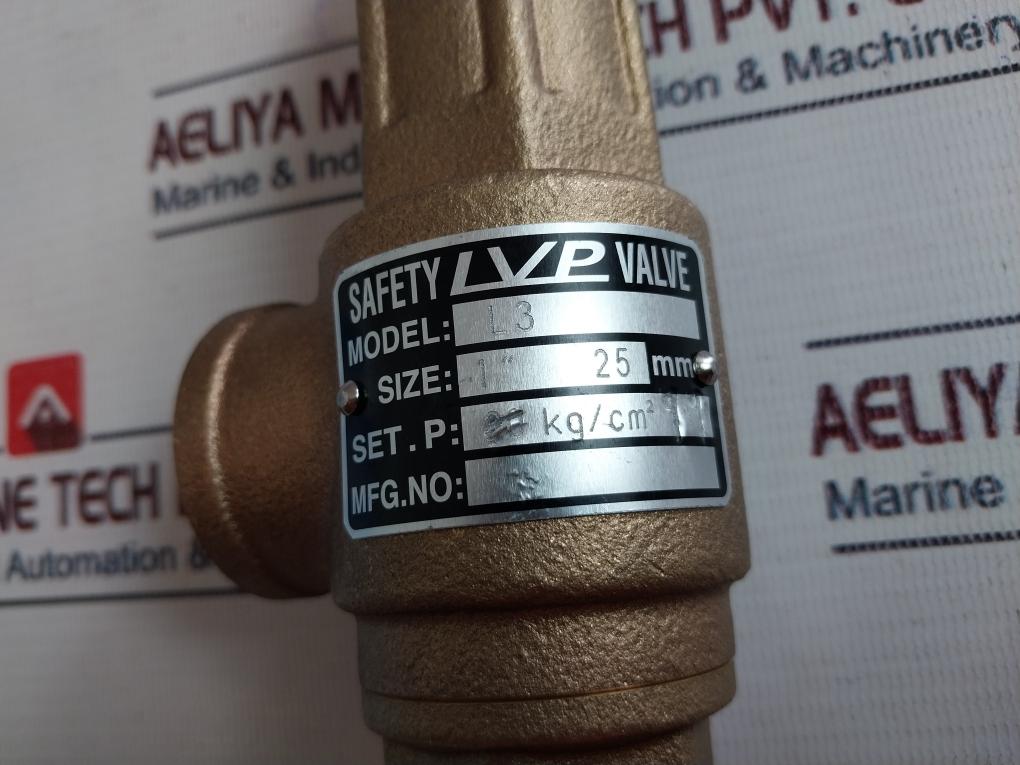 Hants L3 Pressure Safety Relief Valve 1 Inch Npt 11 Bar 20 Kg/Cm2