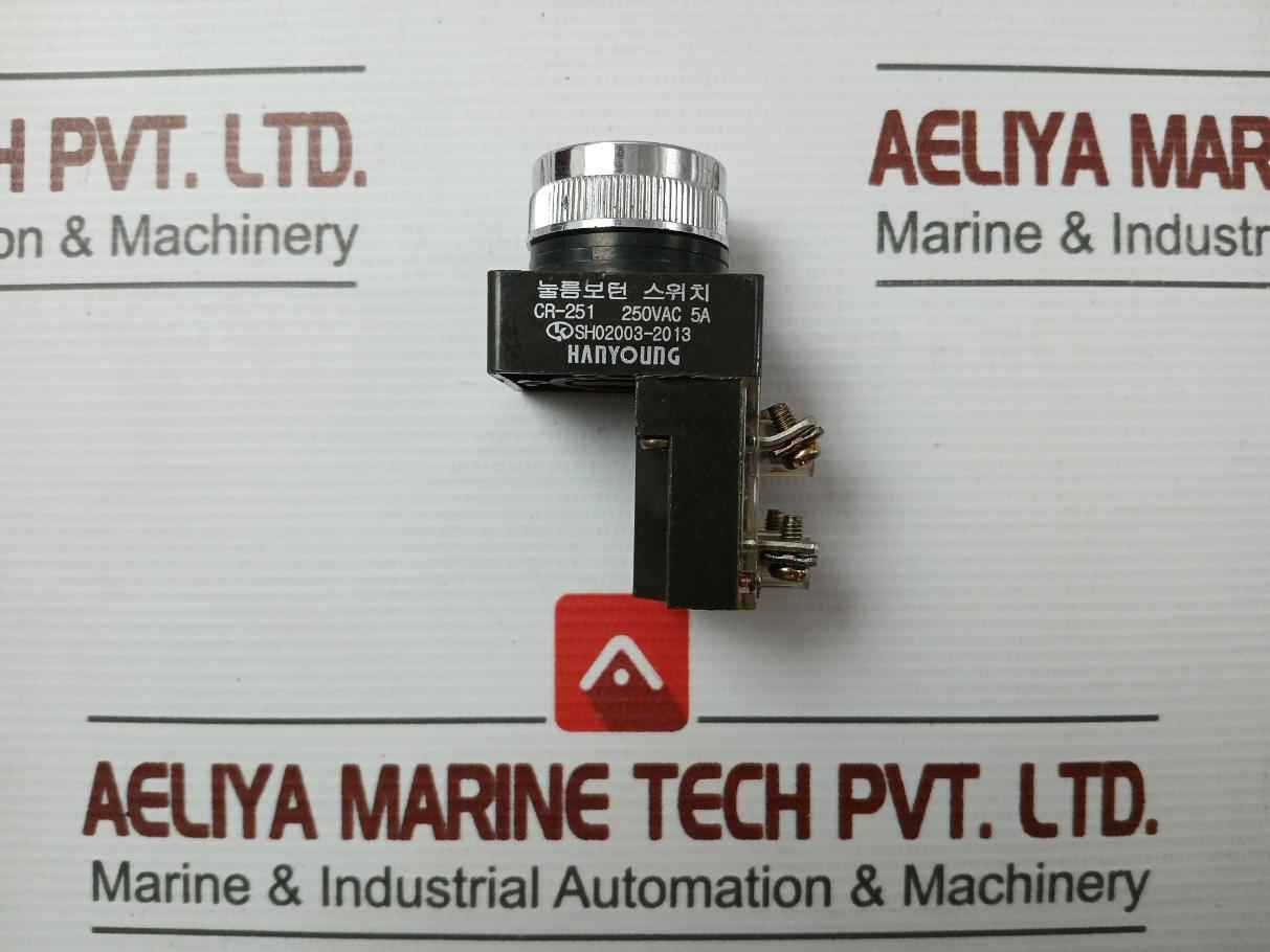 Hanyoung 250Vac 5A Push Button Switch Cr-251