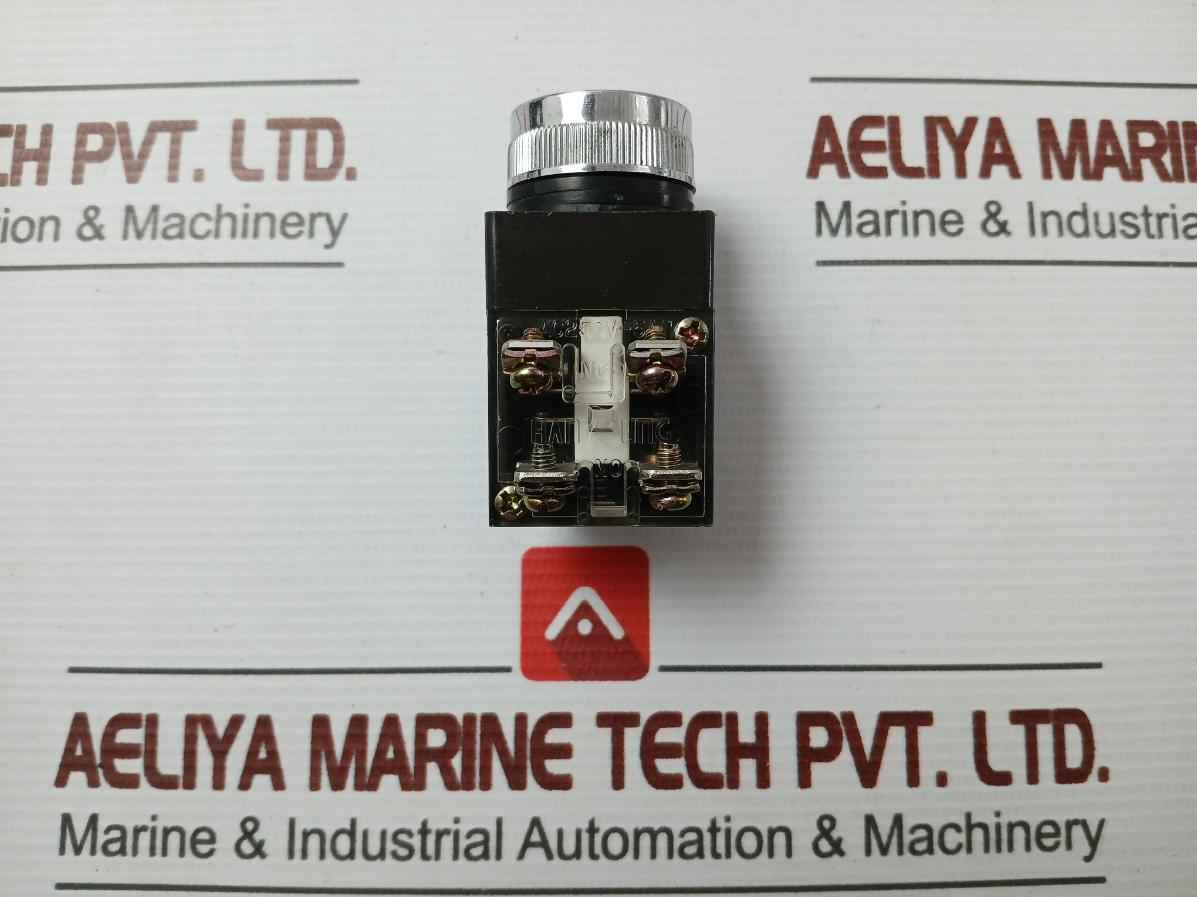 Hanyoung 250Vac 5A Push Button Switch Cr-251