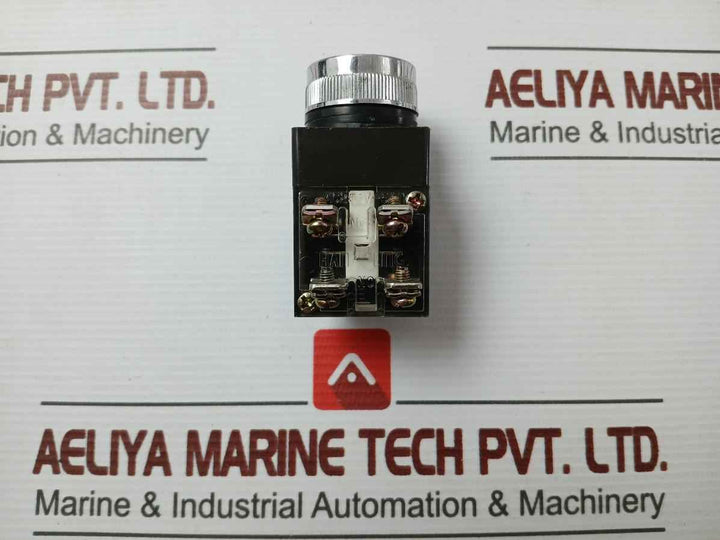 Hanyoung 250Vac 5A Push Button Switch Cr-251